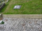 image of grave number 683644